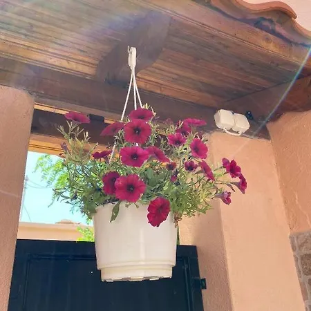 Appartement Ano Poli 4